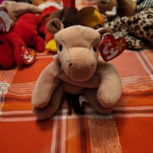 Beanie Baby Derby